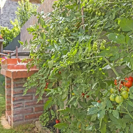 Holiday home Rustic Holiday House / Pet Friendly / Wifi *